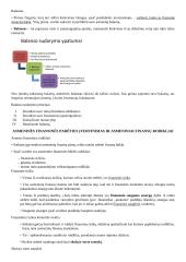 Asmeniniai finansai konspektas 11 puslapis