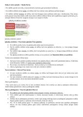 Asmeniniai finansai konspektas 12 puslapis