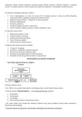 Asmeniniai finansai konspektas 14 puslapis