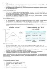 Asmeniniai finansai konspektas 16 puslapis