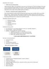 Asmeniniai finansai konspektas 3 puslapis