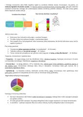 Asmeniniai finansai konspektas 6 puslapis