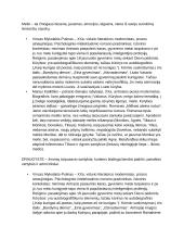 Lietuvių kalbos autorių kartojimas 11 puslapis