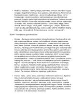 Lietuvių kalbos autorių kartojimas 13 puslapis