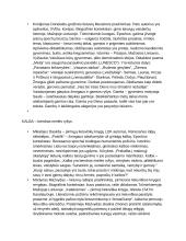 Lietuvių kalbos autorių kartojimas 15 puslapis