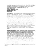 Lietuvių kalbos autorių kartojimas 5 puslapis