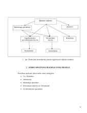 Konsultacinės įmonės personalo valdymo modelis 4 puslapis