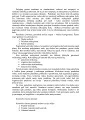 Kontrolė, kaip valdymo funkcija 4 puslapis