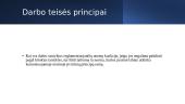 Darbo teisės principai 11 puslapis