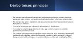 Darbo teisės principai 12 puslapis