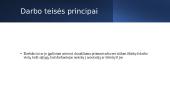 Darbo teisės principai 13 puslapis