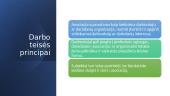 Darbo teisės principai 14 puslapis
