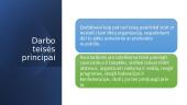 Darbo teisės principai 15 puslapis