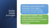 Darbo teisės principai 16 puslapis