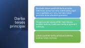 Darbo teisės principai 19 puslapis