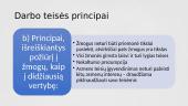 Darbo teisės principai 4 puslapis