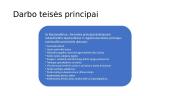 Darbo teisės principai 7 puslapis