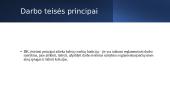 Darbo teisės principai 8 puslapis