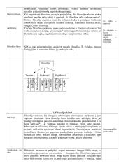 Filosofijos paskaitų teorinė medžiaga 2 puslapis