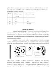 Kraujo plazma, eritrocitai ir leukocitai 3 puslapis