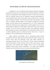 Krovinių rūšys ir srautai. Konteineriai 3 puslapis