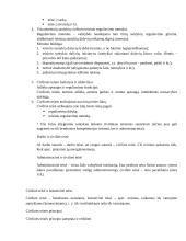 Civilinė teisė. Bendroji dalis (konspektas) 2 puslapis