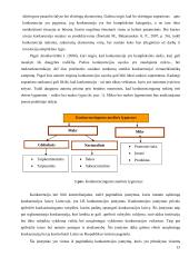 Įmonės konkurencingumo vertinimas 10 puslapis