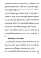 Įmonės konkurencingumo vertinimas 11 puslapis