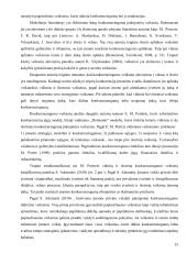 Įmonės konkurencingumo vertinimas 12 puslapis