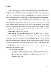 Įmonės konkurencingumo vertinimas 6 puslapis