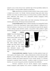 Kraujo tekėjimas organizme. Kraujotakos organai 5 puslapis