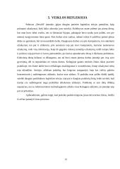 Pažintinė praktika UAB „Devold“ 12 puslapis