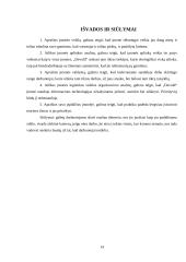 Pažintinė praktika UAB „Devold“ 13 puslapis