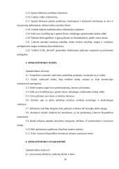 Pažintinė praktika UAB „Devold“ 17 puslapis