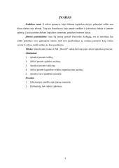 Pažintinė praktika UAB „Devold“ 2 puslapis