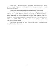 Pažintinė praktika UAB „Devold“ 4 puslapis