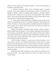 Pažintinė praktika UAB „Devold“ 8 puslapis