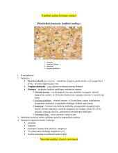 Audinių anatomijos konspektas 16 puslapis