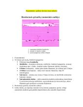Audinių anatomijos konspektas 18 puslapis