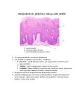 Audinių anatomijos konspektas 4 puslapis