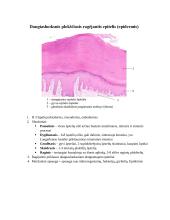 Audinių anatomijos konspektas 5 puslapis