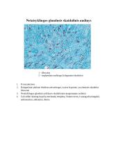 Audinių anatomijos konspektas 7 puslapis