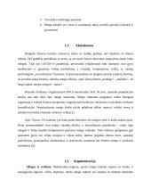 Fizinio aktyvumo, ugdymo projektas 3 puslapis