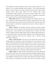 Fizinio aktyvumo, ugdymo projektas 4 puslapis