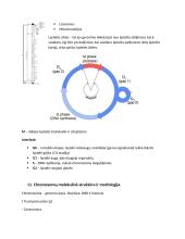 Genetika. Konspektas 5 puslapis