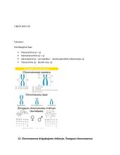 Genetika. Konspektas 6 puslapis