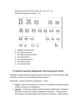 Genetika. Konspektas 7 puslapis