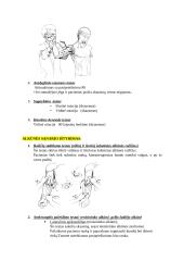 Kineziterapijos specialieji testai 2 puslapis