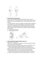 Kineziterapijos specialieji testai 12 puslapis