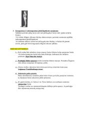 Kineziterapijos specialieji testai 20 puslapis